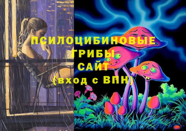 стафф Надым