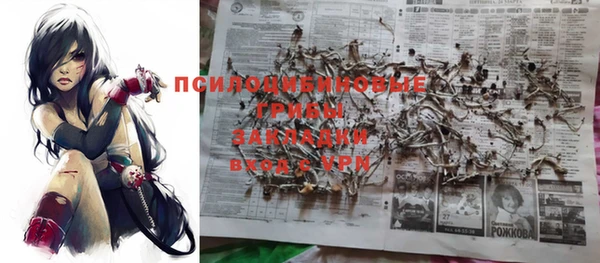 стафф Надым