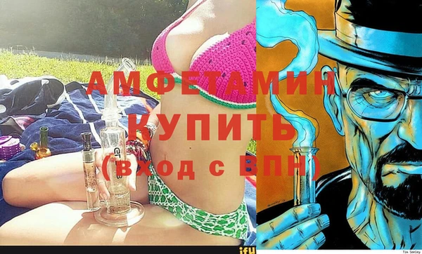 прущие грибы Чита