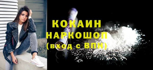 шишки Наволоки