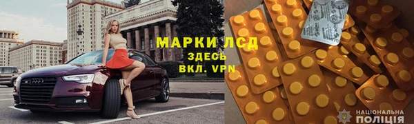 стафф Надым