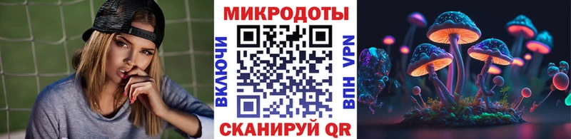 Купить закладки  Красноуральск  Галлюциногенные грибы Psilocybe 