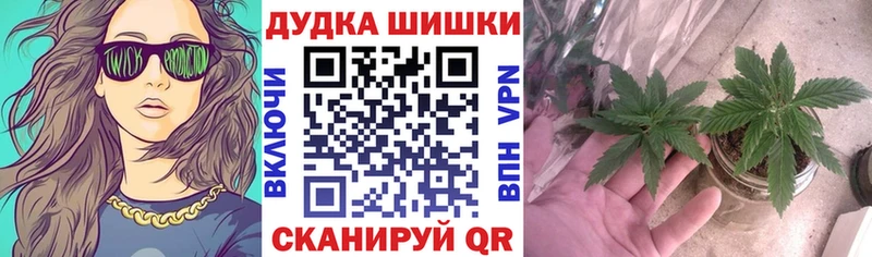 Конопля гибрид  Купить  Красноуральск 